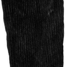 seds8003